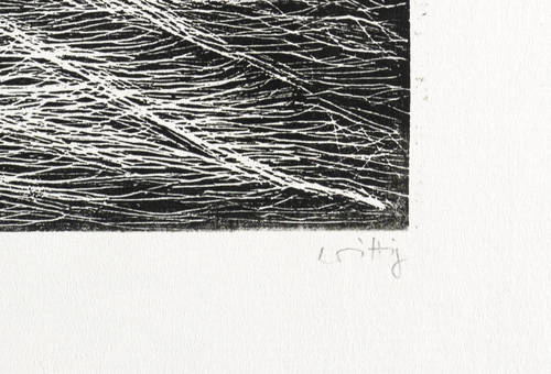 Wittig, Werner -  -  - Giebel, Apfel, Glas