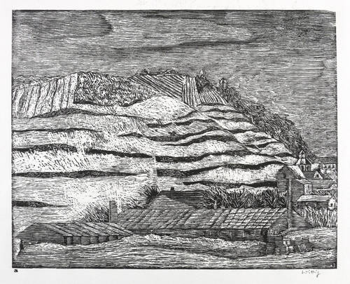 Wittig, Werner -  -  - Weinberge im Schnee (Radebeul)