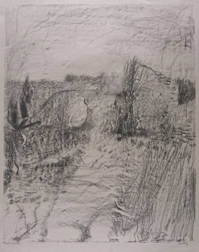 Wittig, Werner -  -  - [Offener Garten]