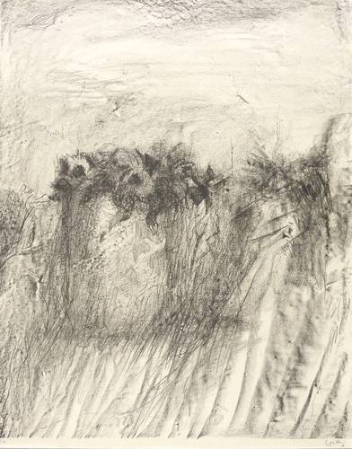 Wittig, Werner -  -  - Blumen im Feld