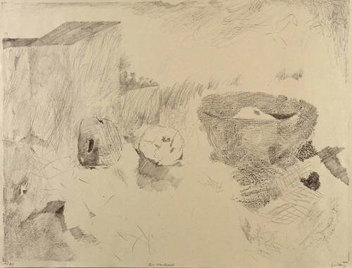 Wittig, Werner -  -  - Äpfel und Schale