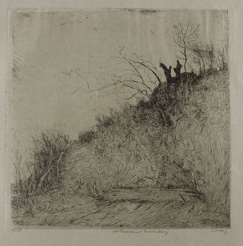 Wittig, Werner -  -  - Verlassener Weinberg