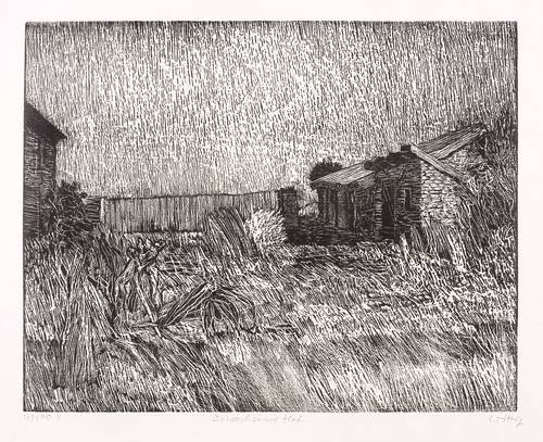 Wittig, Werner -  -  - Bewachsener Hof