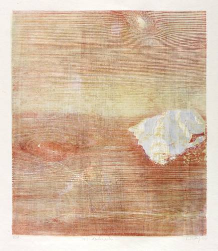 Wittig, Werner -  -  - Mondschnecke