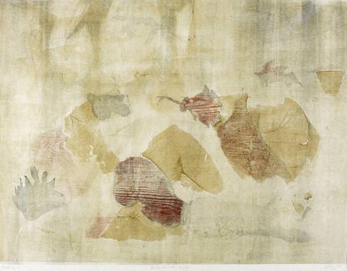 Wittig, Werner -  -  - Blüte, Früchte, Blätter