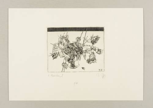Zettl, Baldwin -  -  - Vanitas II