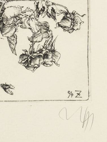 Zettl, Baldwin -  -  - Vanitas II