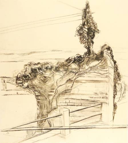 Zielonka, Almut-Sophia -  -  - Efeu-Mauer