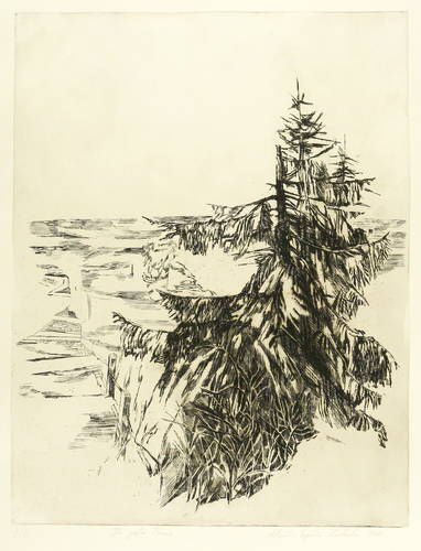 Zielonka, Almut-Sophia -  -  - Die große Tanne