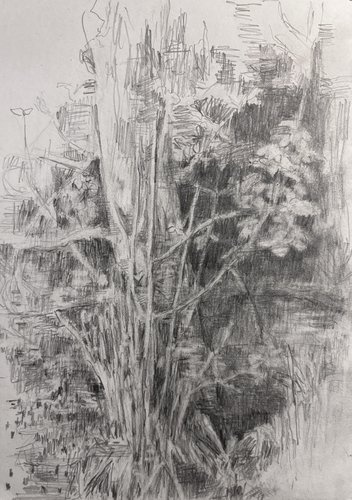 Bleidorn, Lutz - Dresdner Heide - Dresdner Heide - Am Waldteich