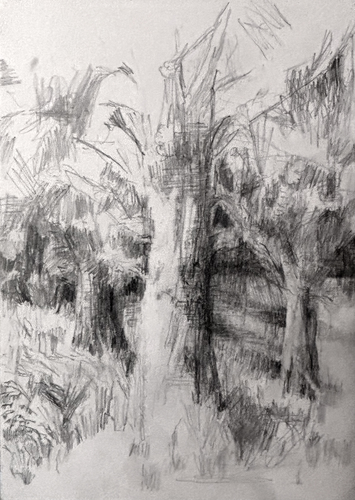 Bleidorn, Lutz - Dresdner Heide - Dresdner Heide - Bäume am Klint